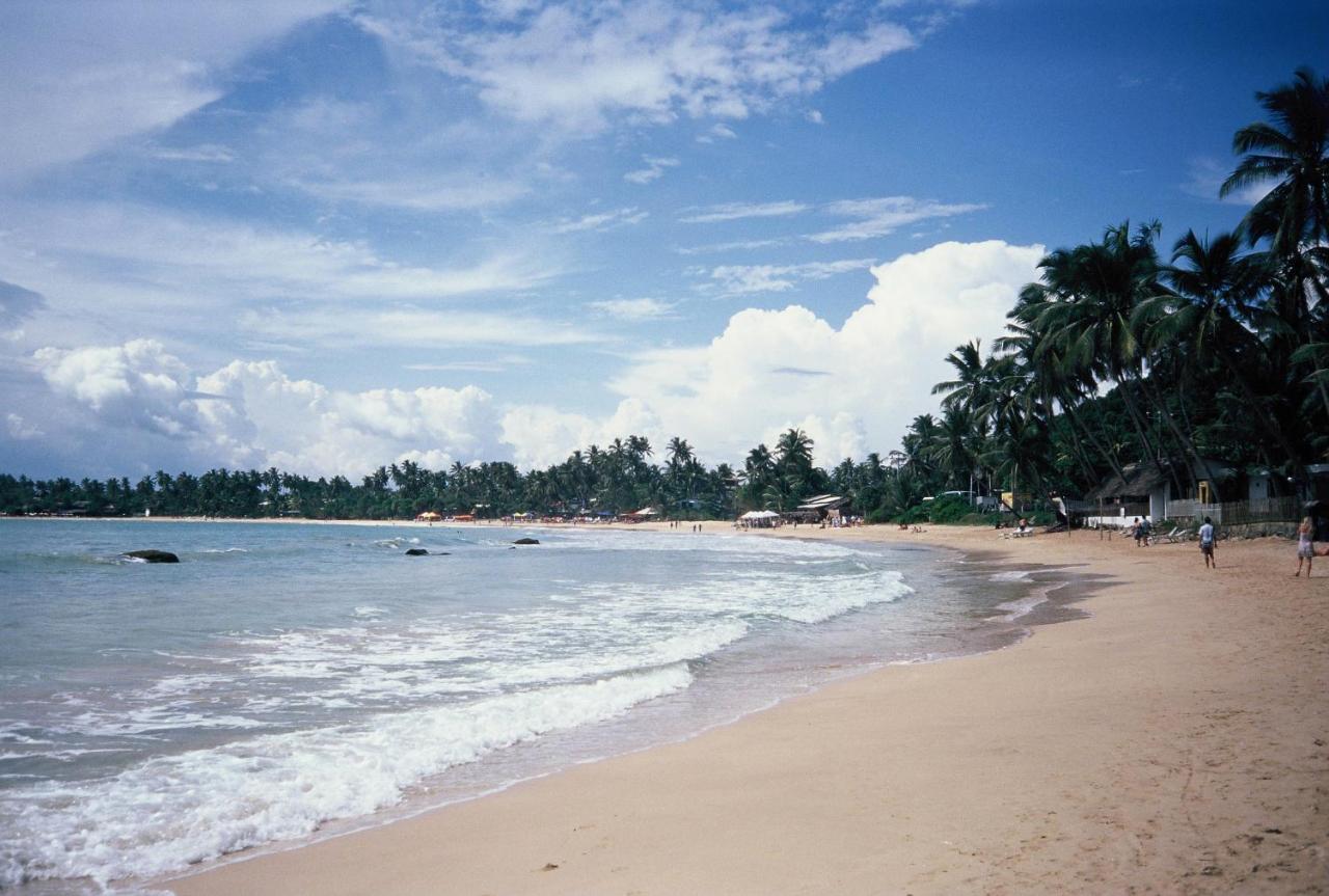 Surf Sea Breeze Hotel Mirissa Buitenkant foto